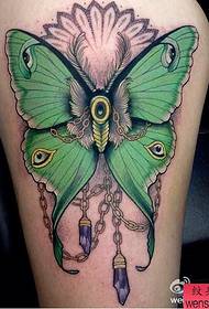 Leg color butterfly tattoo work