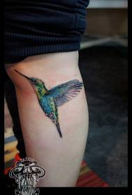 Tatuaje ikuskizuna, partekatu hanka kolorea kolibrisa tatuaje lana