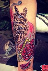Показуйте татуювання, рекомендуйте татуювання троянди сови на нозі