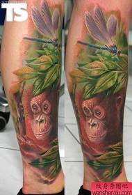 Un traballo creativo de tatuaxe de libélula de mono na perna