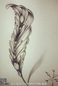 exquisite feather manuscript tattoo pattern