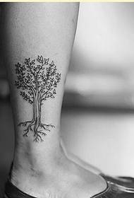 naisten nilkan muoti hyvännäköinen puu tatuointi kuvio kuva