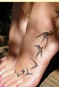 kauniit jalat klassinen muoti hyvännäköinen niellä tatuointi kuvio kuvia