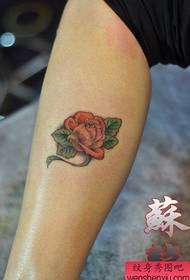 Kājas skaists krāsains rožu tetovējums