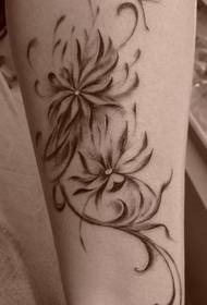 Tauira Tataki Tae: huringa waewae lotus vine dragonfly tattoo tauira