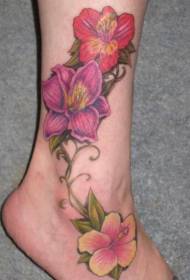 immagine del tatuaggio dell'ibisco di colore del piede
