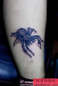 Moški nog čeden klasičen vzorec tatoo-pajek