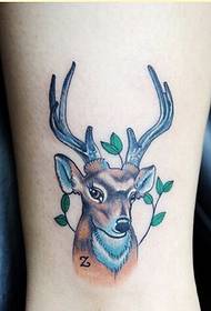 beautiful ankle fashion good-looking colored antelope tattoo pattern picture