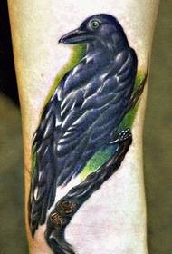 oinez Crow tatuaje eredua irudiaz gozatzeko