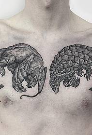 patrón realista de tatuaxe de pangolín no peito do home
