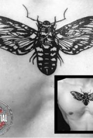 Tato dada laki-laki laki-laki dada tengkorak dan gambar tato kupu-kupu