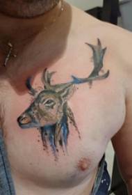 chest tattoo male boys chest Colored elk tattoo picture