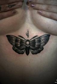 boob European and American school moth tattoo pattern