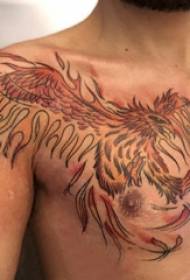 Eagle tattoo male chest color eagle tattoo picture
