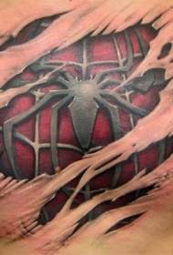 araña negra y fondo rojo rasgado patrón de tatuaje en el pecho