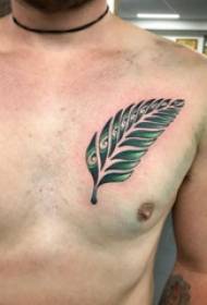 胸部纹身男 男生胸部彩色的叶子纹身图片