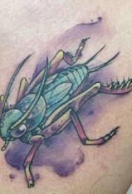 Baile kafshë Tattoo foto tatuazh kafkë me ngjyra të gjoksit djali