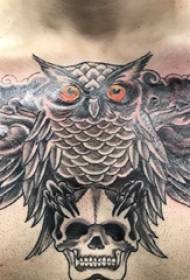 Ang pattern ng tattoo ng Owl male chest owl tattoo