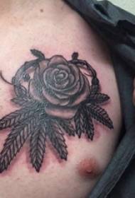 dreng bryst tatovering sort og hvid grå stil litterær blomster tatovering lille frisk plante tatovering billede
