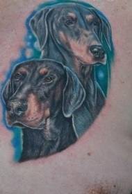 chest doberman and blue background tattoo pattern