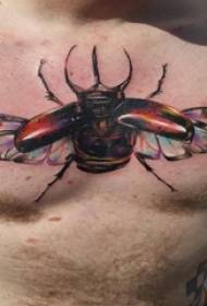 fiúk mellkasfestése fokozatosan egyszerű vonalakkal megváltoztatja a reális rovarok tetoválás képét