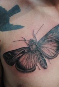 black gray style chest big butterfly tattoo pattern