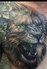 ຮູບ King Lion tattooed ຮູບ tattoo ກ່ຽວກັບຫນ້າເອິກ