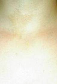 Spalla Two Sparrow Grey Neru Tattoo