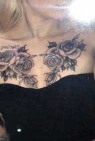 rožu tetovējums meitenes meitene clavicle Uz melnas rozes tetovējuma attēla