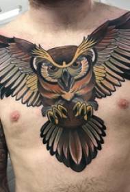 tattoo owl boys chest owl tattoo pictures