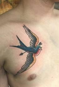 tatuaje de pájaro tatuaje de color de pecho masculino tatuaje de pájaro foto