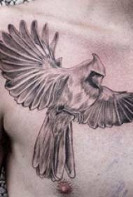 Tattoo chest male boys chest black parrot tattoo pictures