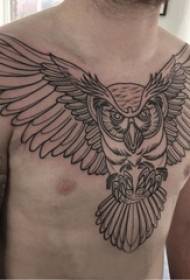 Tattoo chest male boys chest black owl tattoo pictures 50990-Tattoo chest male boy chest black deer tattoo picture