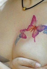 skönhet bröst vacker fjäril tatuering bild Daquan