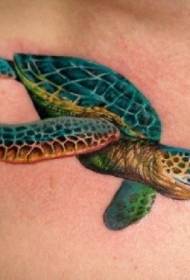 modèle de tatouage de tortue réaliste belle poitrine