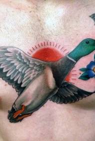 barevný květ kachna hrudníku tetování vzor