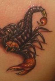 three chest color scorpion tattoo Pattern works