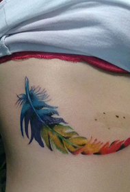 beautiful colored feather tattoo on the rib