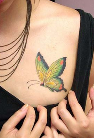 Hermosos pechos hermoso color mariposa tatuaje patrón Daquan
