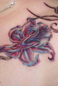 Patrón de tatuaxe de peito fermoso de cor divertido