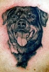 göğüs siyah gri Rottweiler gülümseme dili dövme deseni
