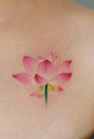 Четкане на снимка на татуировка на лотос пред гърдите 54152-Татуировка модел с мъжки гърди реквизит и английски