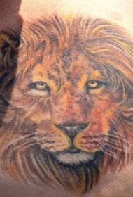 mudellu di tatuaggi di culore di leone di pettu