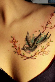 Grožio krūtinės šakos ir paukščių tatuiruočių dizainas