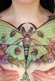 eye-catching color butterfly chest chest tattoo