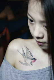 cute girl's beautiful swallow tattoo on the chest