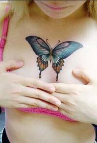 beauty chest sexy color butterfly tattoo pattern picture