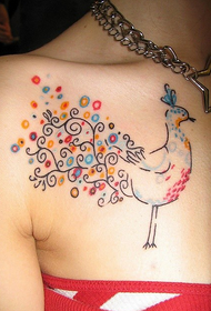 sievietes krūtīs - skaists pāvs tetovējums