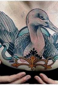 tetas de beleza sexy bo aspecto tatuaje de cisne