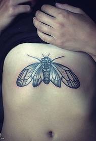 Moth tatoveringsmønster under brystet